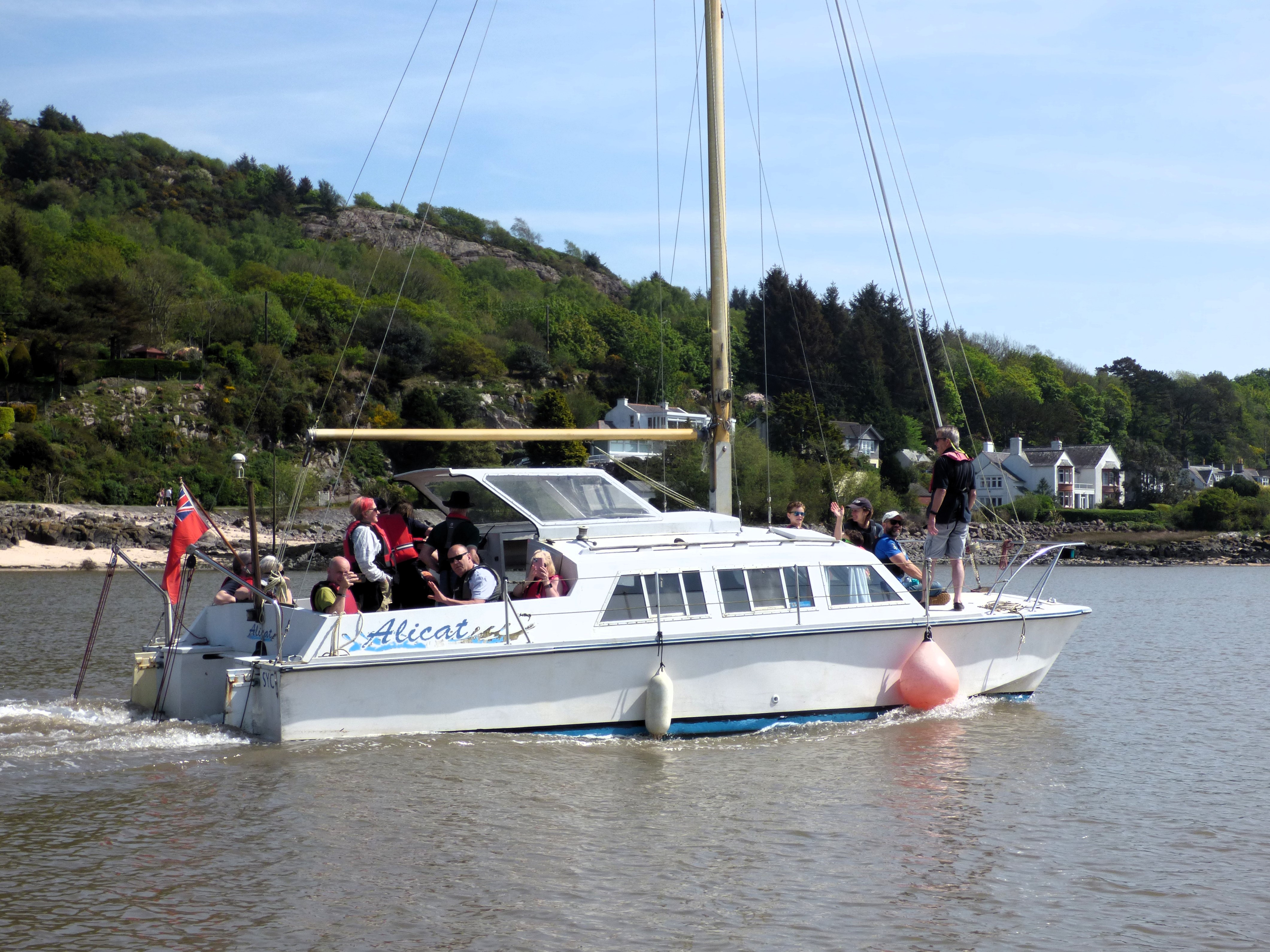 Alicat takes passengers on a trip